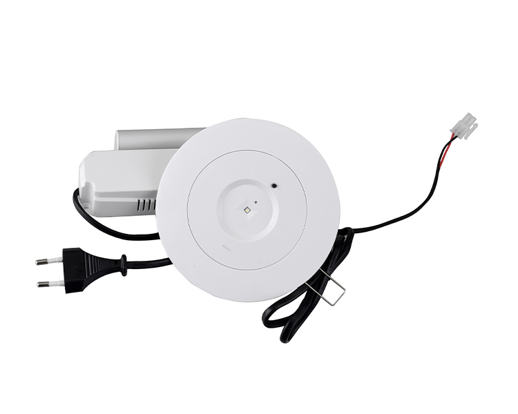 D40-R-2 LED-Downlight-Notfallvorrichtung