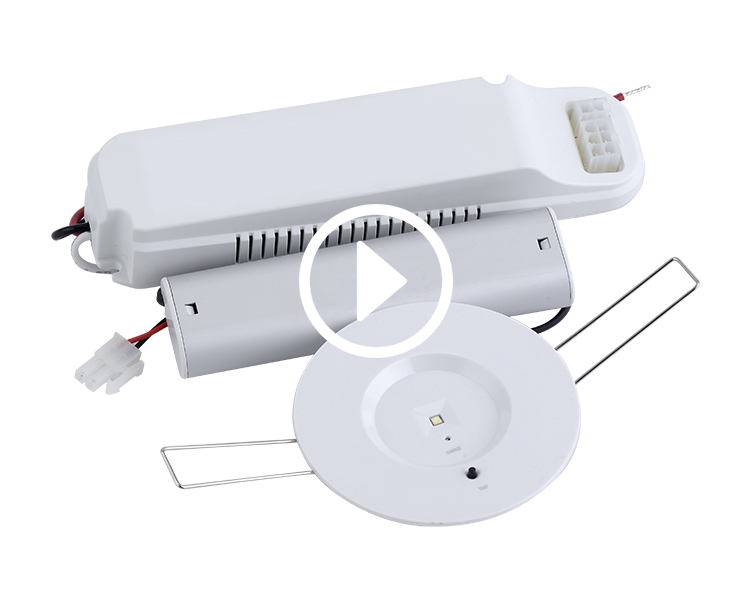 D40-R-1-Notfall-Downlight Downlight
