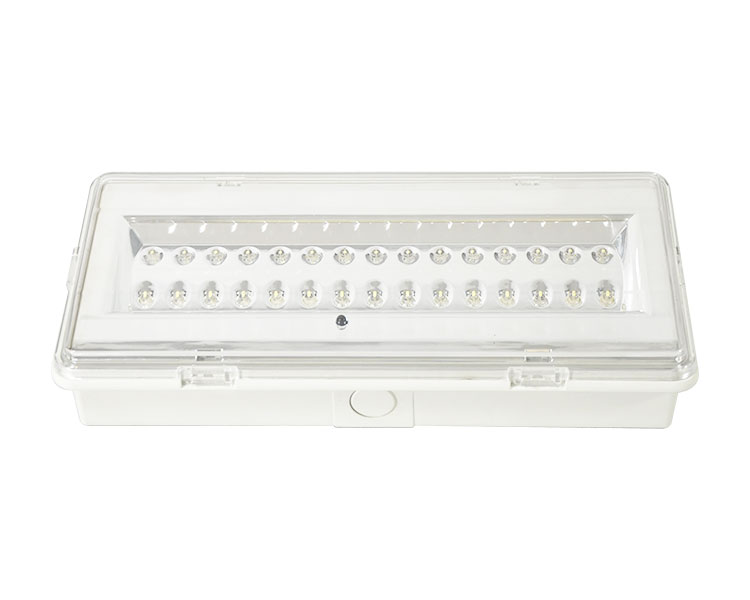 LE503L Nicht gepflegtes LED wasserdichte Notfalllampe