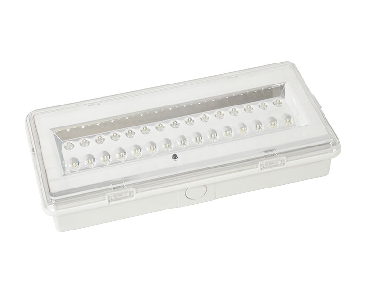 LE503L Nicht gepflegtes LED wasserdichte Notfalllampe