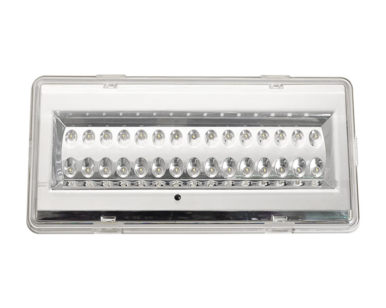 LE503L Nicht gepflegtes LED wasserdichte Notfalllampe