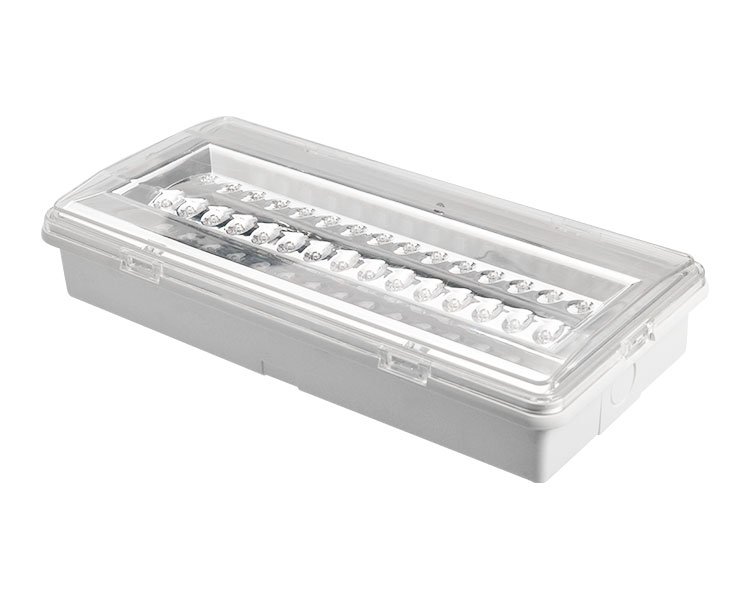 LE503L Nicht gepflegtes LED wasserdichte Notfalllampe