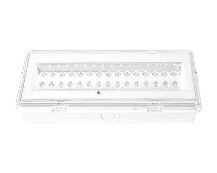 LE503L Nicht gepflegtes LED wasserdichte Notfalllampe