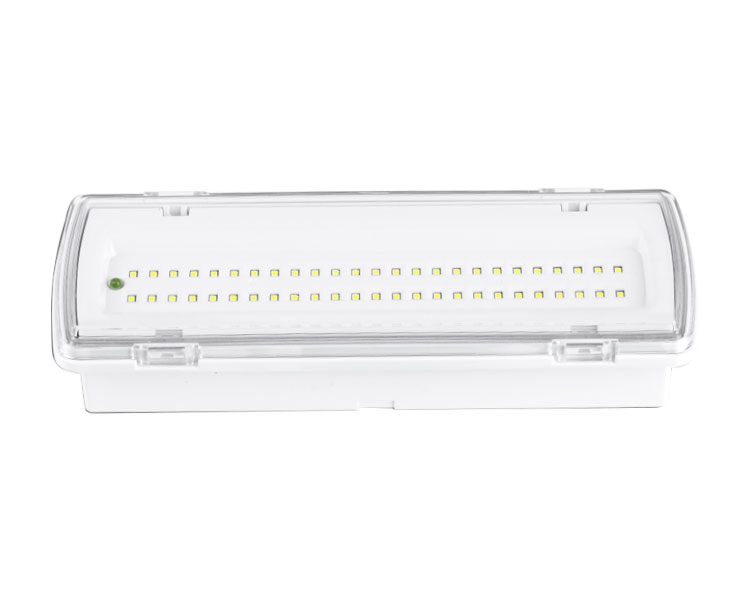 LE507L-50LED 50 SMD SLIM LED-Notfalllicht vom Typ LED