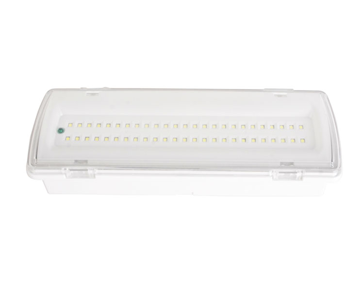 LE507L-50LED 50 SMD SLIM LED-Notfalllicht vom Typ LED