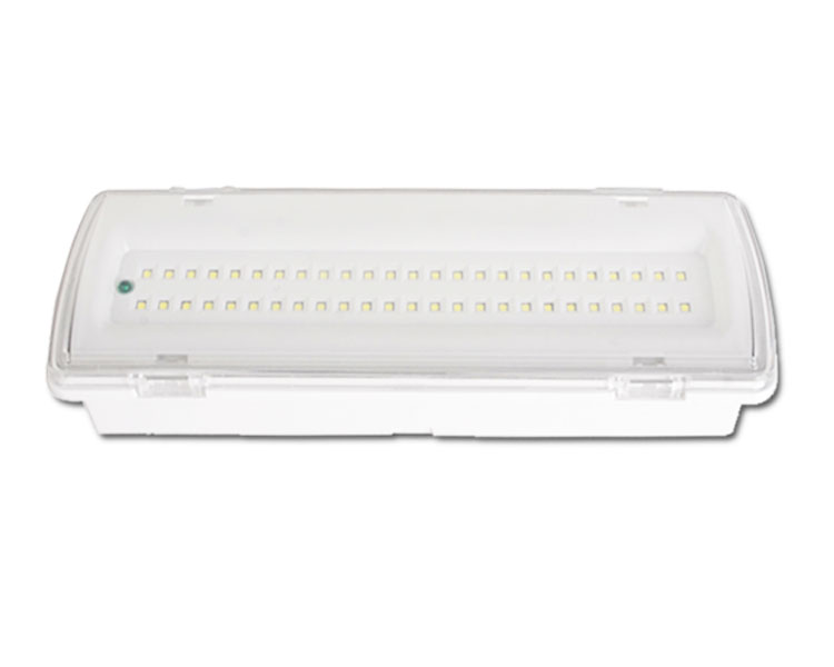 LE507L-50LED 50 SMD SLIM LED-Notfalllicht vom Typ LED