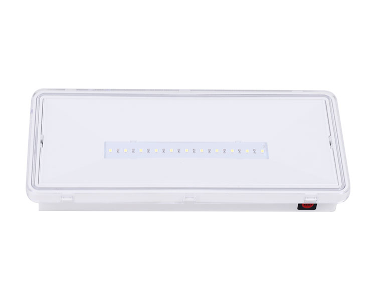 LE515-11 11LED WASGERFORTE LUMINAILES-IP65