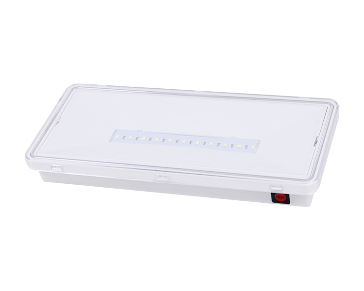 LE515-11 11LED WASGERFORTE LUMINAILES-IP65