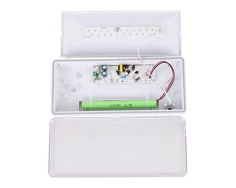 LE515-11 11LED WASGERFORTE LUMINAILES-IP65