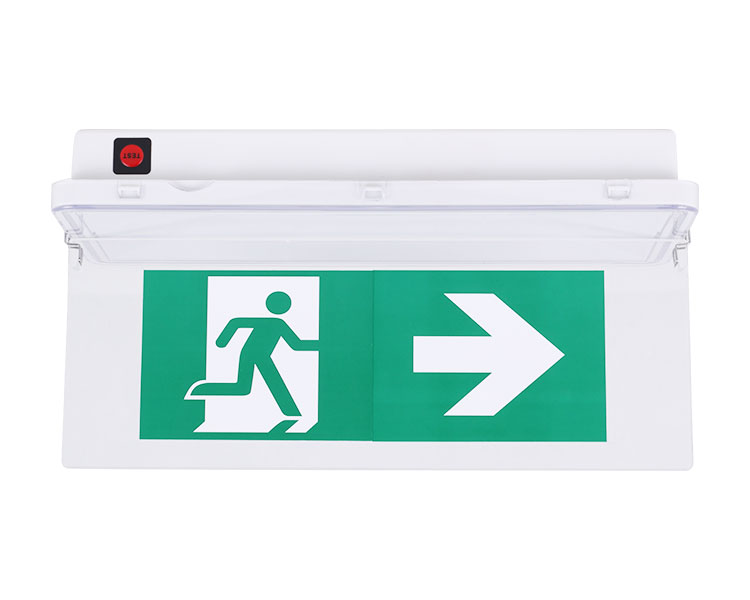 LE515-11 11LED WASGERFORTE LUMINAILES-IP65