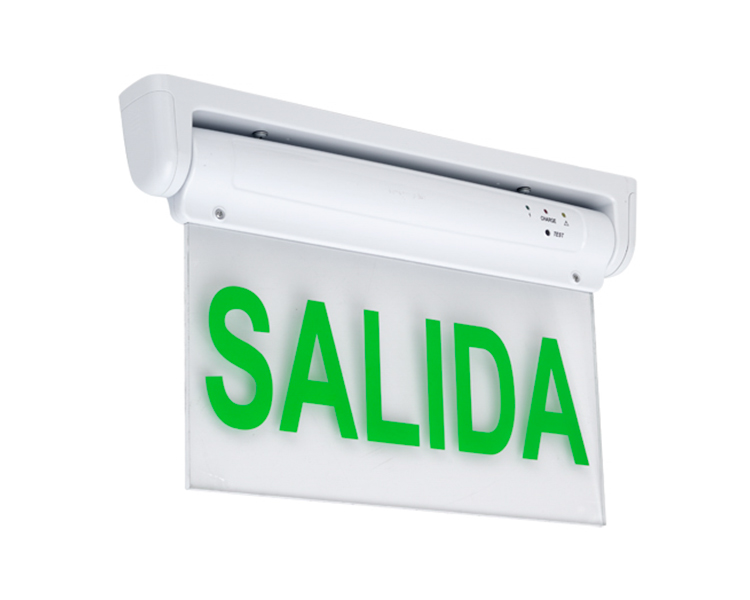 LE2912-5 oder 10 Green LED-Notausgangszeichen