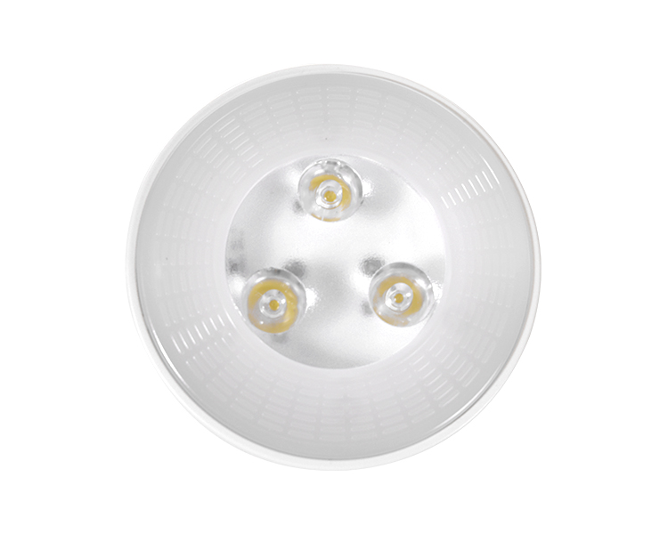JLEU6 UL/CUL 600LM Hochzeit mit Doppelkopf -Notlicht